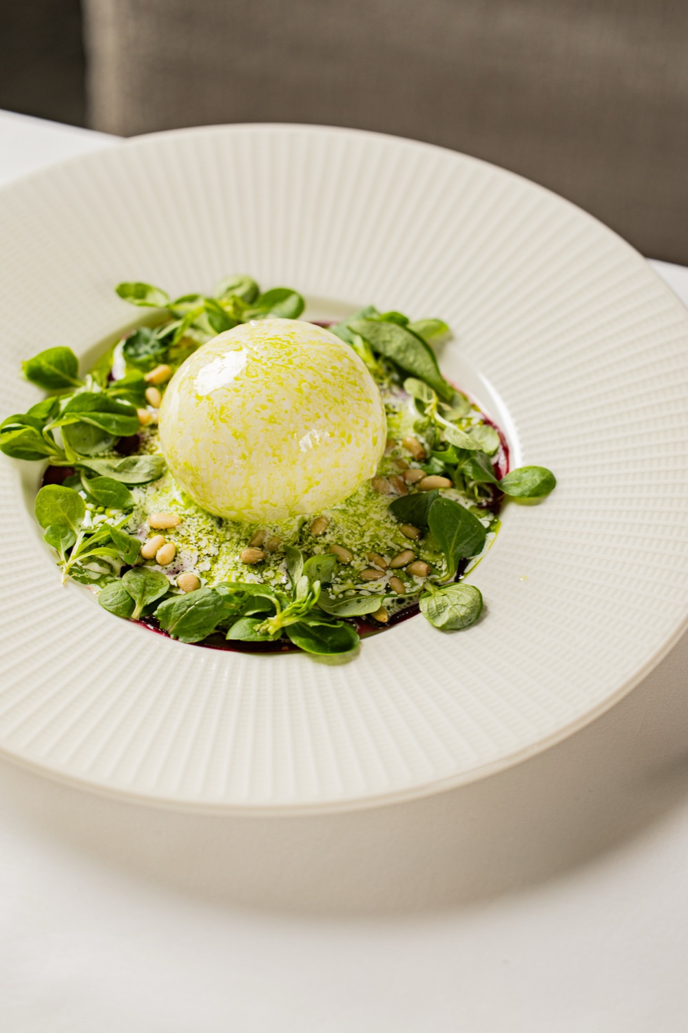 Burrata with pine nuts and olive oil, starter at Casa Bellucci Berlin-Charlottenburg